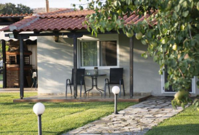 Green Yard House